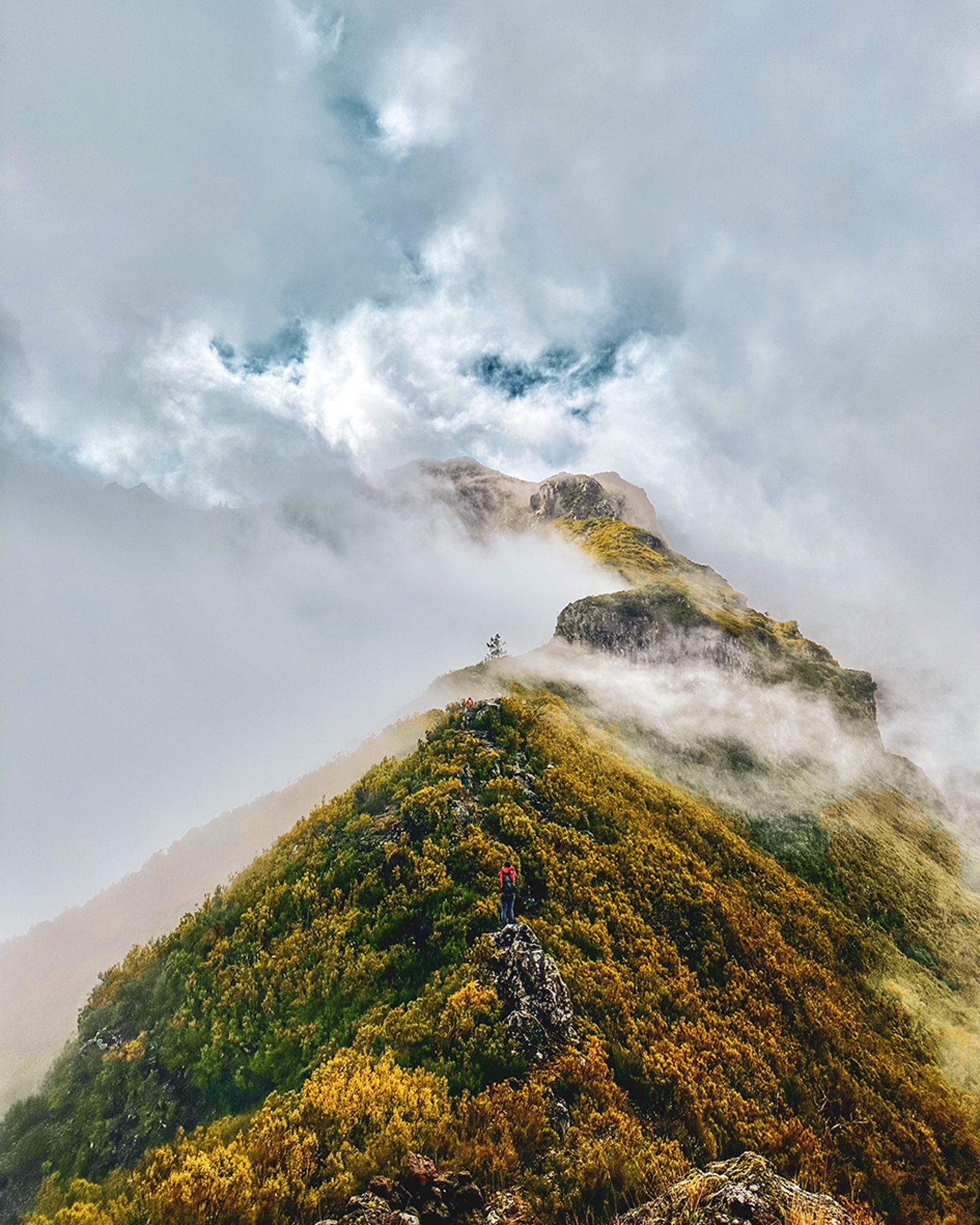Freedom in Madeira mountains